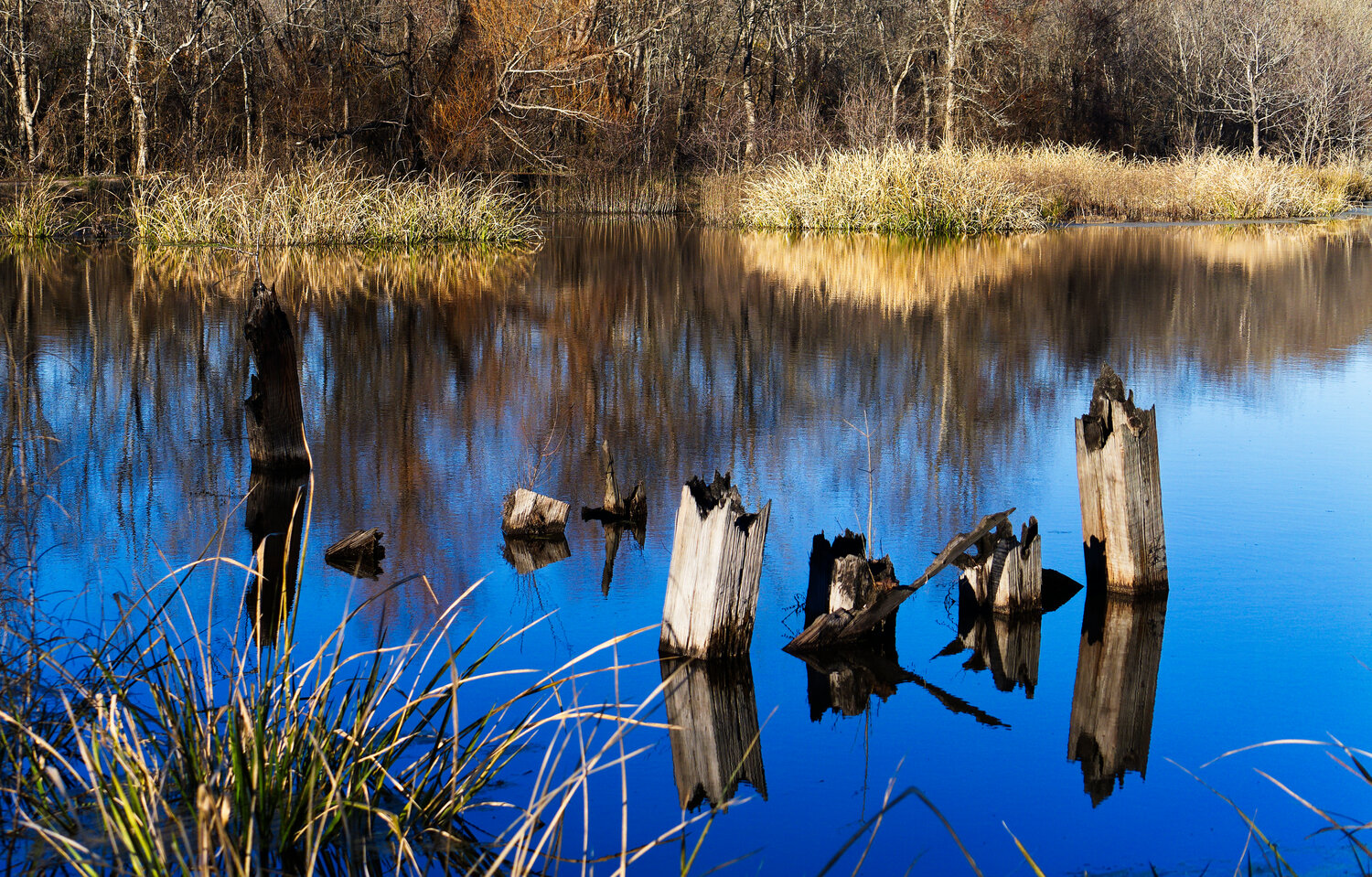 Remnants of the old railroad bridge are reflected in a pond at the Mineola Nature Preserve.